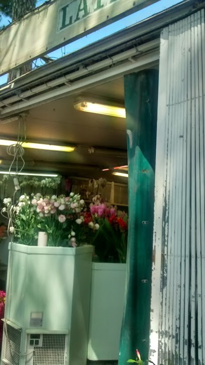 Fiorista Latini, Fiorista a Pesaro