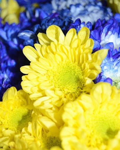 Magnolia, Fiorista a Ercolano