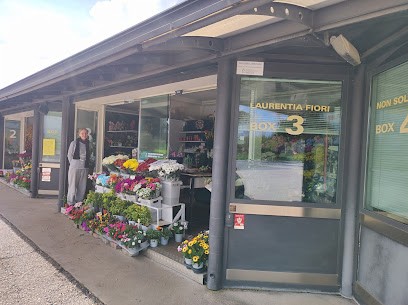 Laurentia Fiori Due Snc Di Gorini Irma & C., Fiorista a Roma