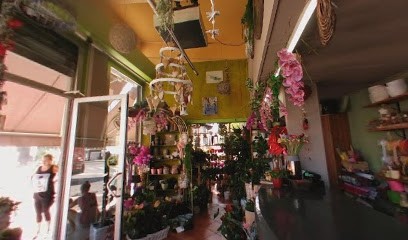 Il Regno Dei Fiori, Fiorista a Porto Sant'Elpidio