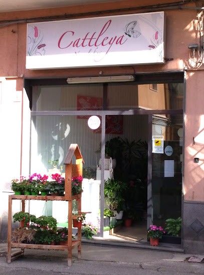 Cattleya Di Indelicato Alessandra & C. S.a.s., Fiorista a Giarre