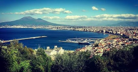 Floridea Di Carlo Piedipalumbo & C. S.A.S., Fiorista a Castellammare di Stabia