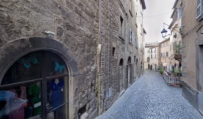 Il Fiore Nell'Antico Di Tomassini Sara Snc, Fiorista a Viterbo