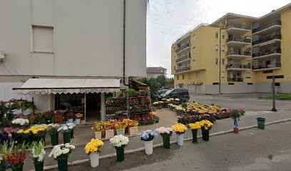 La Grande Fioriera, Fiorista a Vasto