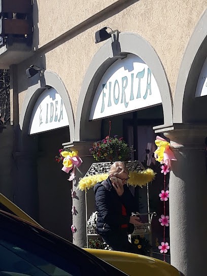 Idea Fiorita Di Brasi Massimo & C. Snc, Fiorista a Rovetta