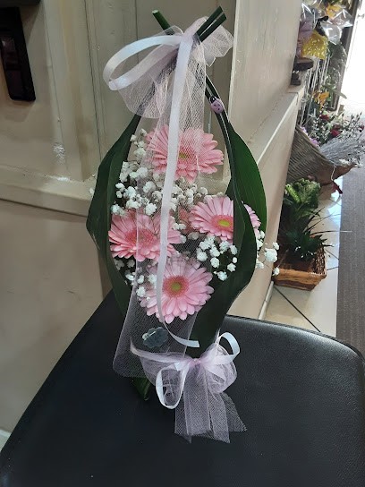 Fiori E Fiori Di Castaldi Maria, Fiorista a Isernia