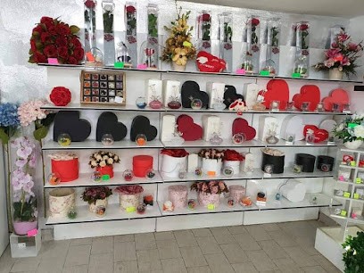 L'Oasi Del Fiore, Fiorista a Pomezia