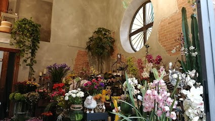 Milito Luciano, Fiorista a Cava de' Tirreni