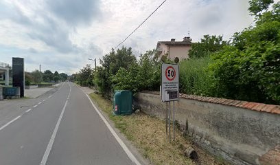 Fiori Fratelli, Fiorista a Torrazza Coste