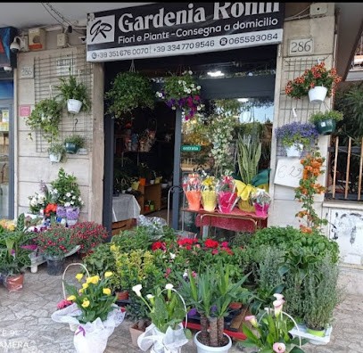 Fiori E Piante Gardenia Consegne, Fiorista a Roma