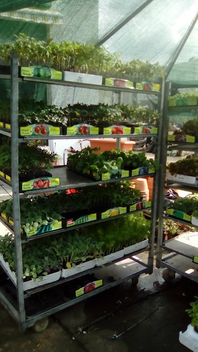 Zf Agricoltura - Fiori E Piante Di Zara Federica, Fiorista a Sanluri