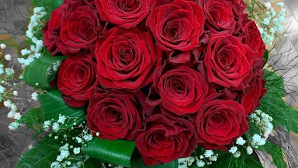 La Fioreria, Fiorista a San Salvo