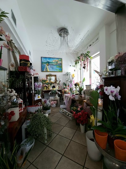 La Cerimonia E..., Fiorista a Pontecagnano Faiano