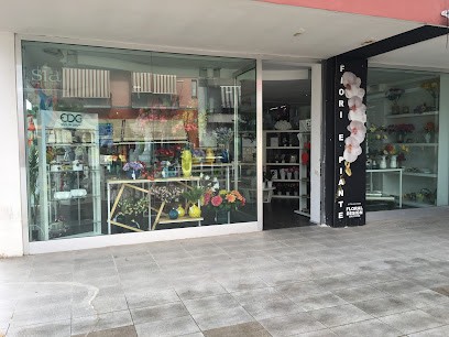 Floral Design Leone, Fiorista a Caivano