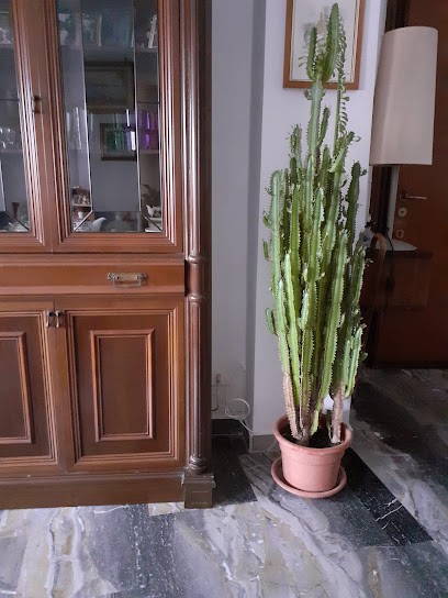 Sanremese Fiori Di Chiesa Pier Domenico, Fiorista a Garlasco